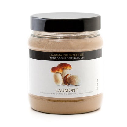 Porcini powder